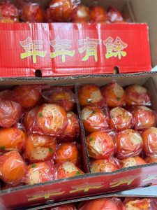 WhatsApp Image 2026-03-01 at 10.38.42 PM (2)